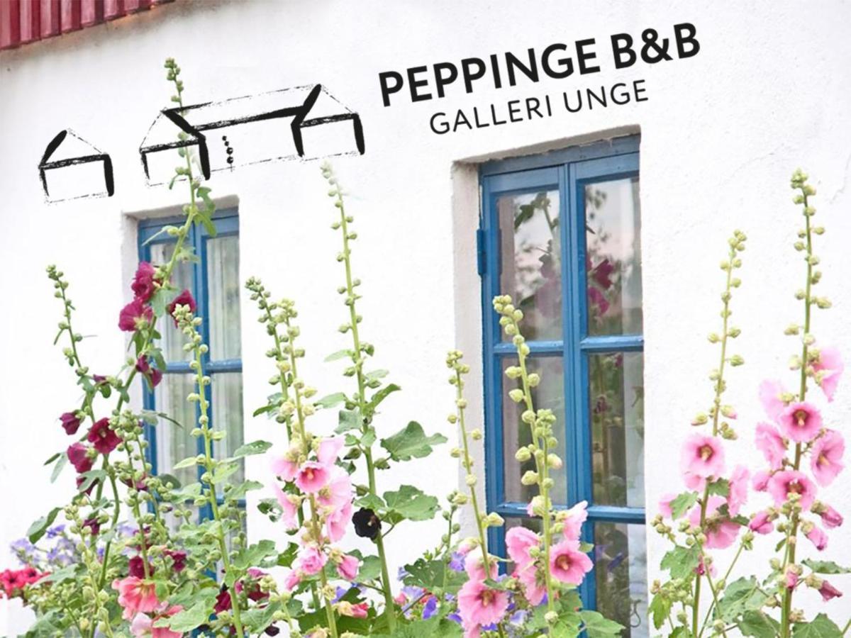 Peppinge Loderup