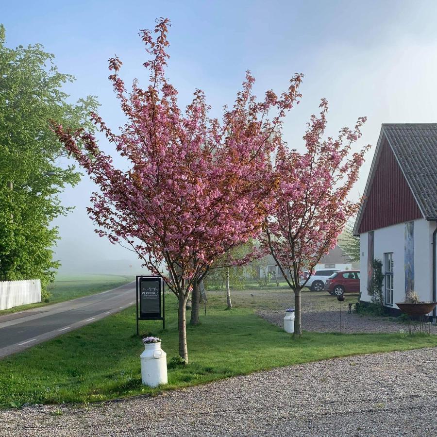 Bed & Breakfast Peppinge 3*